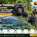 Gorilla trekking in Uganda from the Czech Republic, featuring a mountain gorilla in Bwindi Impenetrable National Park and travel routes through Kigali, Rwanda.