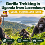 Gorilla trekking in Uganda from Luxembourg featuring mountain gorillas in Bwindi Impenetrable National Park