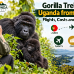 Gorilla Trekking in Uganda from Portugal