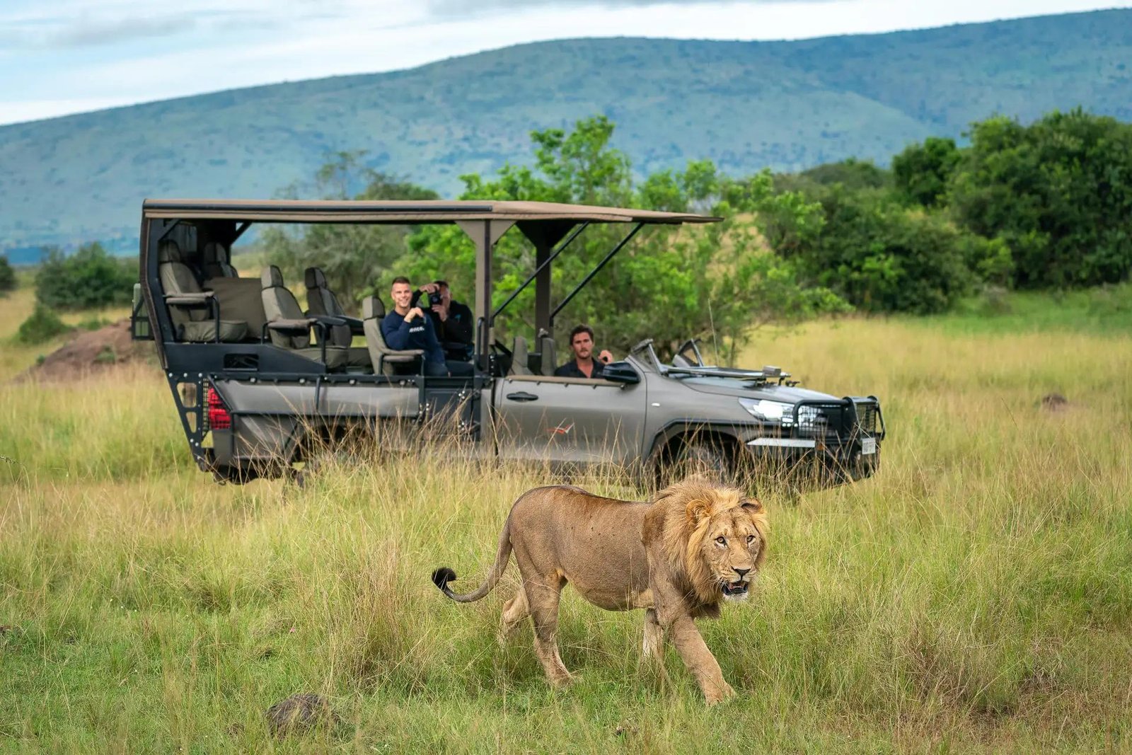 Tourists watching a male lion from an open safari vehicle in Akagera National Park, Rwanda.