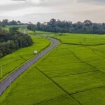 Scenic road through Rwanda's green hills and tea plantations leading toward Nyungwe Forest National Park.