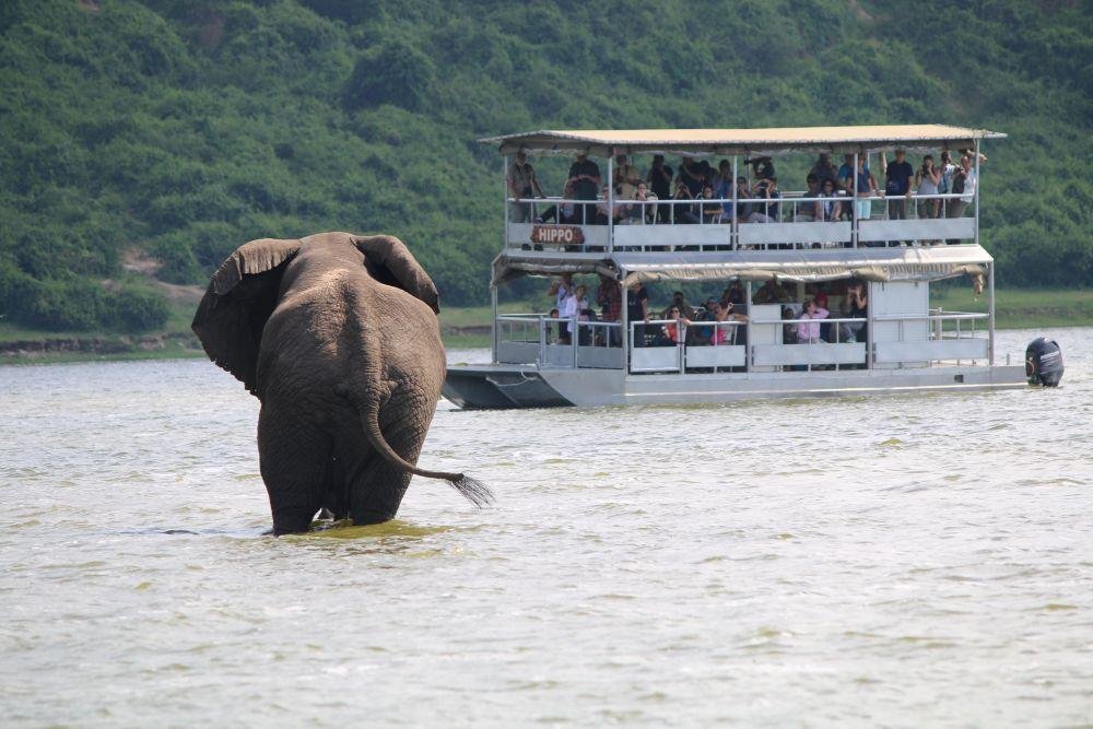 Boat crossing the Kazinga Channel in Queen Elizabeth National Park, Uganda