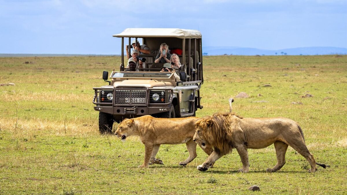 Kenya Safari from Mombasa featuring lions and a safari vehicle in Masai Mara National Reserve.
