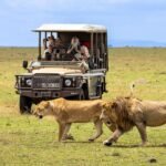 Kenya Safari from Mombasa featuring lions and a safari vehicle in Masai Mara National Reserve.