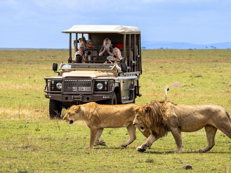 Kenya Safari from Mombasa featuring lions and a safari vehicle in Masai Mara National Reserve.