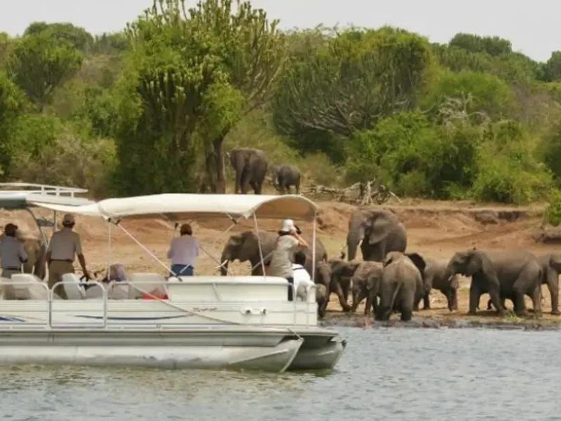 Boat safari on Lake Ihema in Akagera National Park with hippos and waterbirds