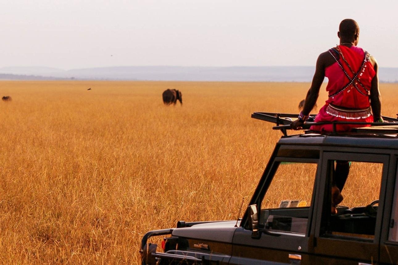Maasai safari guide in traditional red clothing overlooking elephant habitat in Kenya's Maasai Mara.