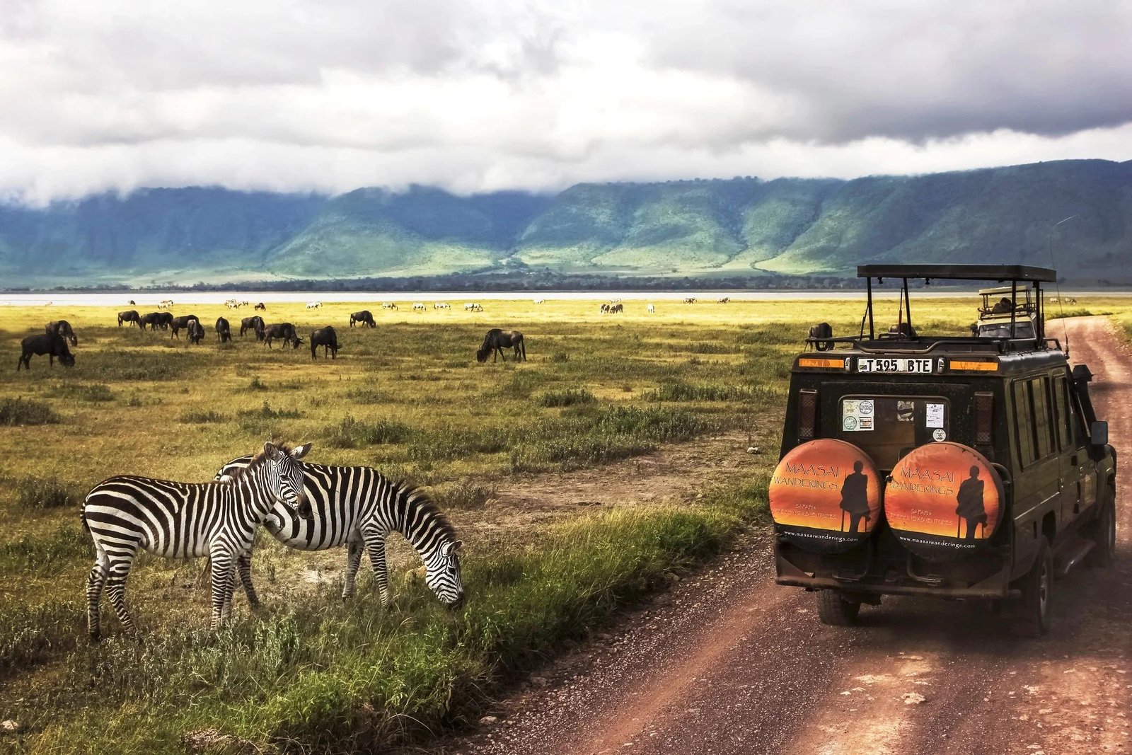Safari vehicle observing elephants, zebras and buffaloes during a Ngorongoro Crater game drive in Tanzania.