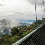 Nyungwe Canopy Walkway suspended 70 metres above the rainforest in Rwanda.