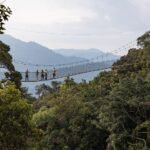 Nyungwe Forest hiking trails and canopy walkway above Rwanda's tropical rainforest