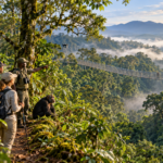 Safari tourists exploring Nyungwe Forest National Park in Rwanda, with a canopy walkway, lush rainforest, and wildlife.