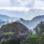 Nyungwe Forest safari cost and scenic rainforest landscape in Rwanda