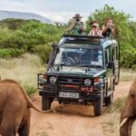 Private vs Shared Safari in Kenya showing a safari Land Cruiser in the Masai Mara.