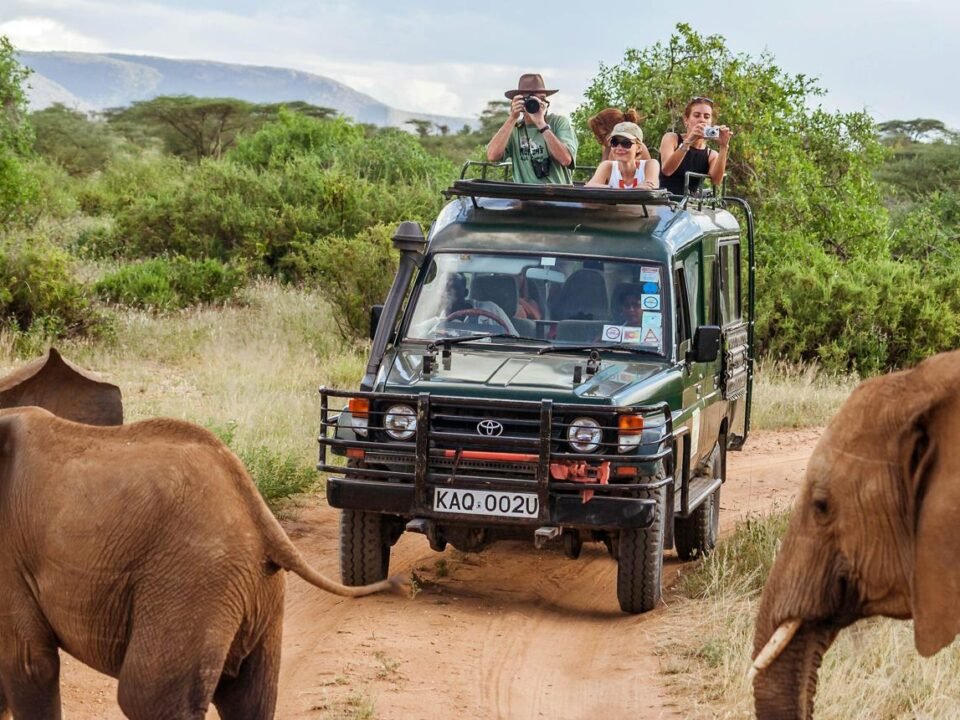 Private vs Shared Safari in Kenya showing a safari Land Cruiser in the Masai Mara.