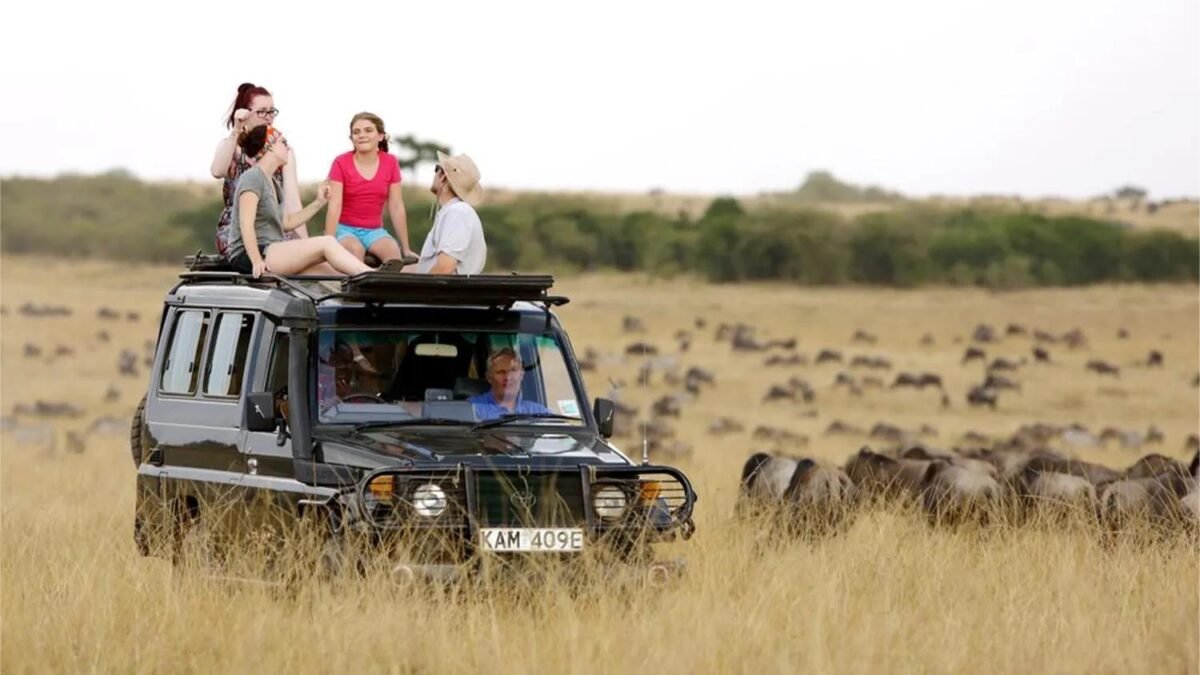 Private vs Shared Safari Tanzania comparison showing tourists in a safari vehicle in the Serengeti.