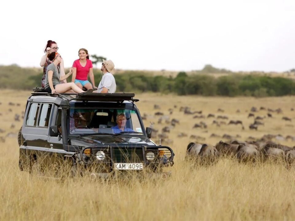 Private vs Shared Safari Tanzania comparison showing tourists in a safari vehicle in the Serengeti.