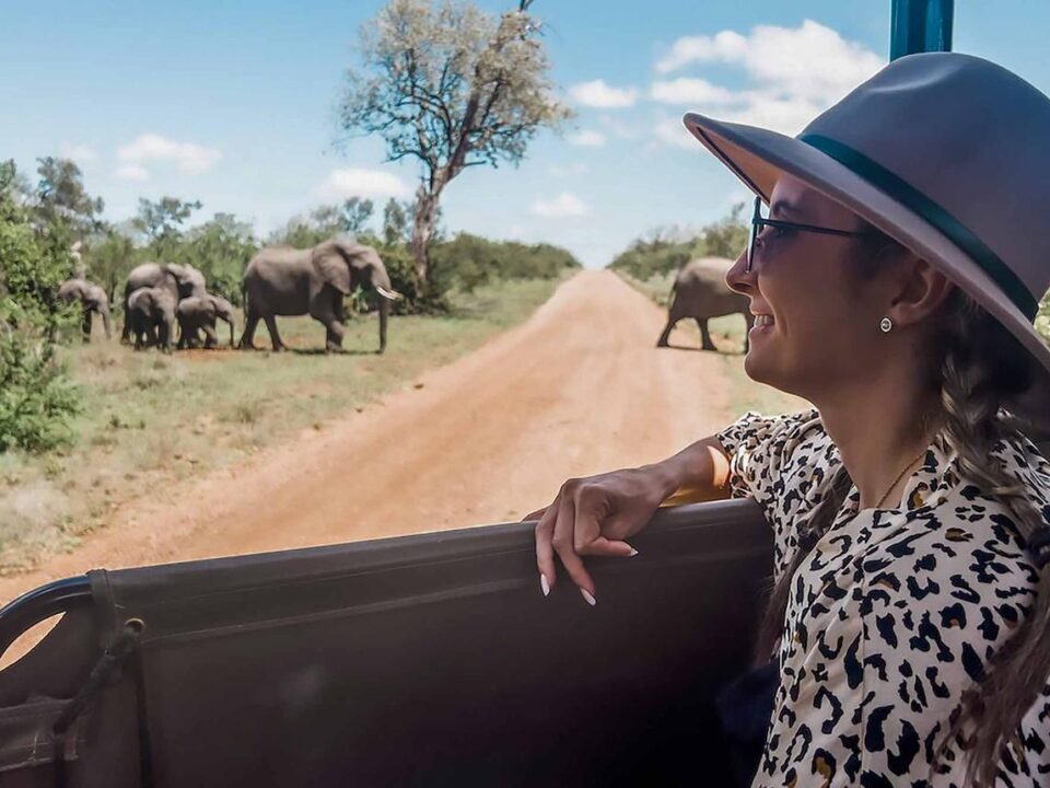 Solo Travel East Africa safari experience with wildlife and a professional guide in Uganda