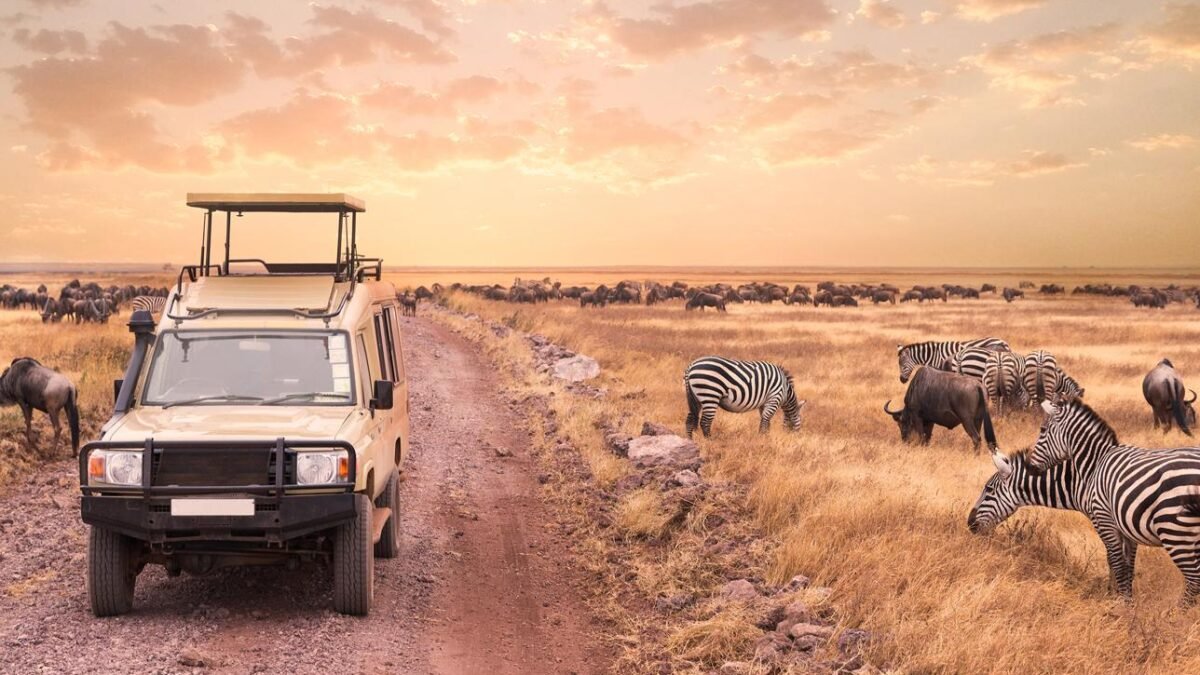 Tanzania Safari Quotes compared with a safari vehicle in Serengeti National Park.