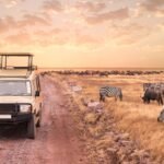 Tanzania Safari Quotes compared with a safari vehicle in Serengeti National Park.
