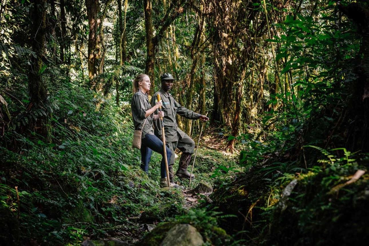 Local porter assisting a visitor during a forest trek in Uganda.
