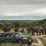 Uganda Safari for Solo Travellers with a private safari vehicle in Queen Elizabeth National Park