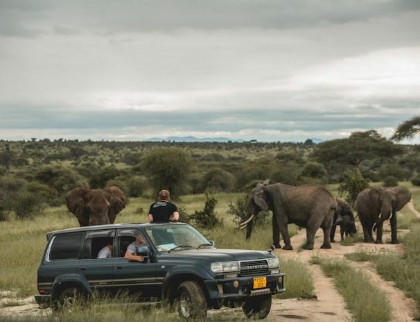 Uganda Safari for Solo Travellers with a private safari vehicle in Queen Elizabeth National Park