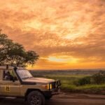Uganda Safari Quotes comparison showing a private safari vehicle overlooking Uganda's scenic wildlife landscapes.