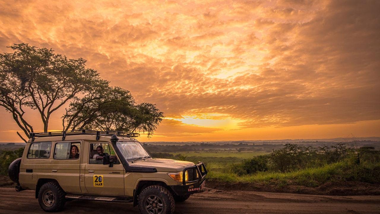 Operators Quotes Uganda Safari Quotes: Compare Costs & Inclusions