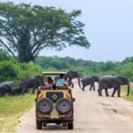 Uganda Safari Without Long Drives with a private safari vehicle viewing wildlife in Queen Elizabeth National Park.