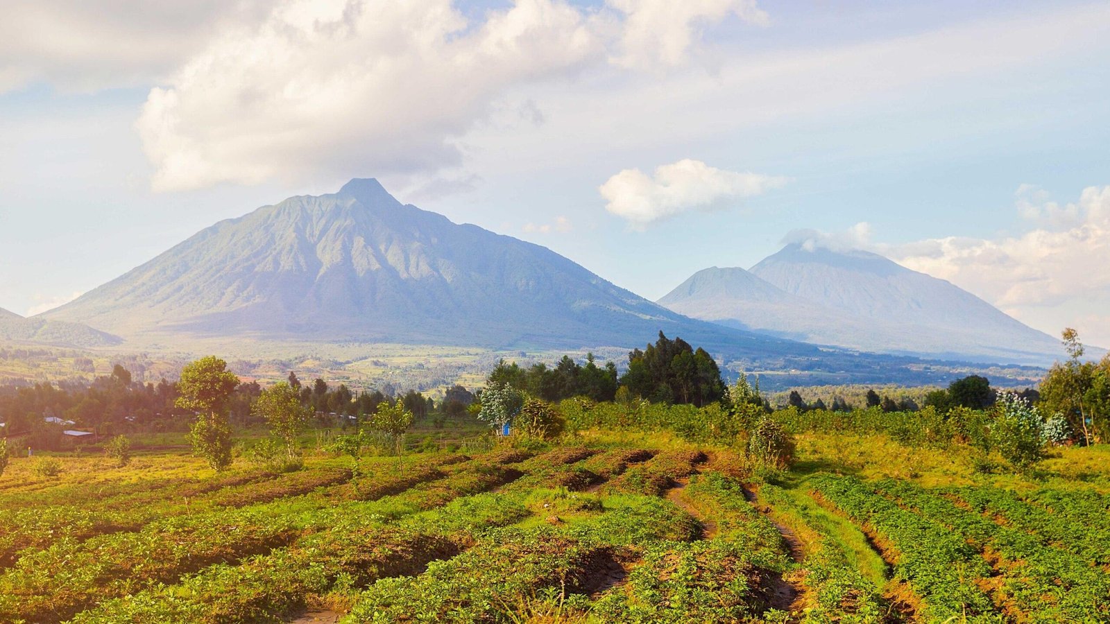 Beautiful Virunga Mountains and green landscapes surrounding Volcanoes National Park in Rwanda.