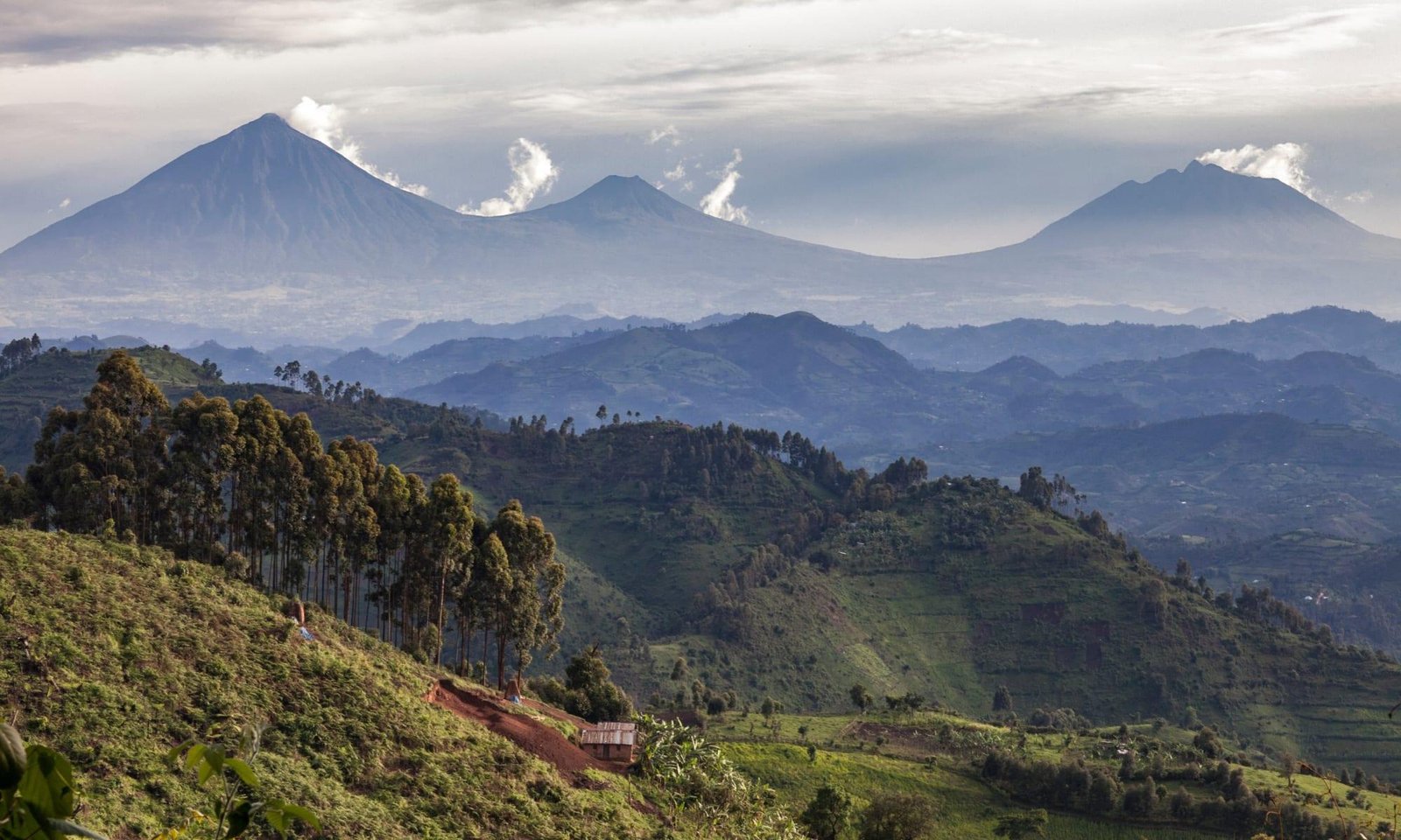 Green volcanic mountains and beautiful scenery around Volcanoes National Park in Rwanda.