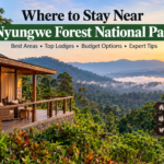 Scenic rainforest lodge overlooking the green hills of Nyungwe Forest National Park in Rwanda, highlighting accommodation options near Gisakura, Uwinka and Kitabi.